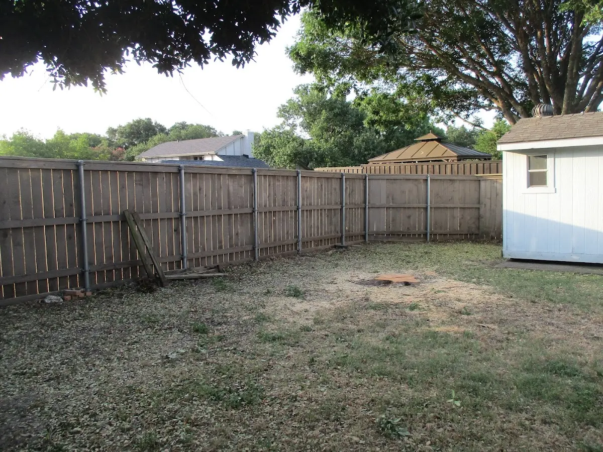 Cleared yard after professional tree removal in Rossville