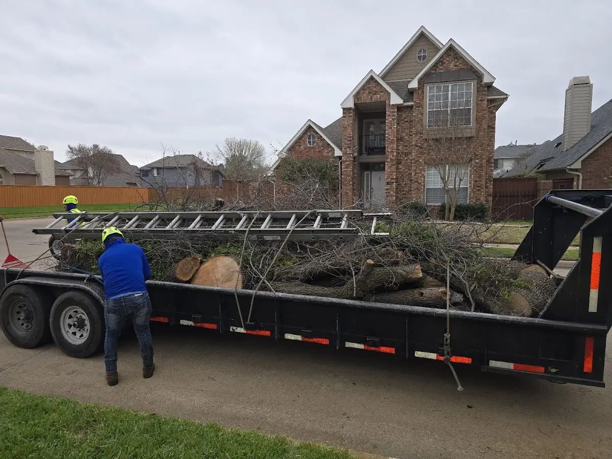 Expert Tree Removal with proper safety equipment in Rossville